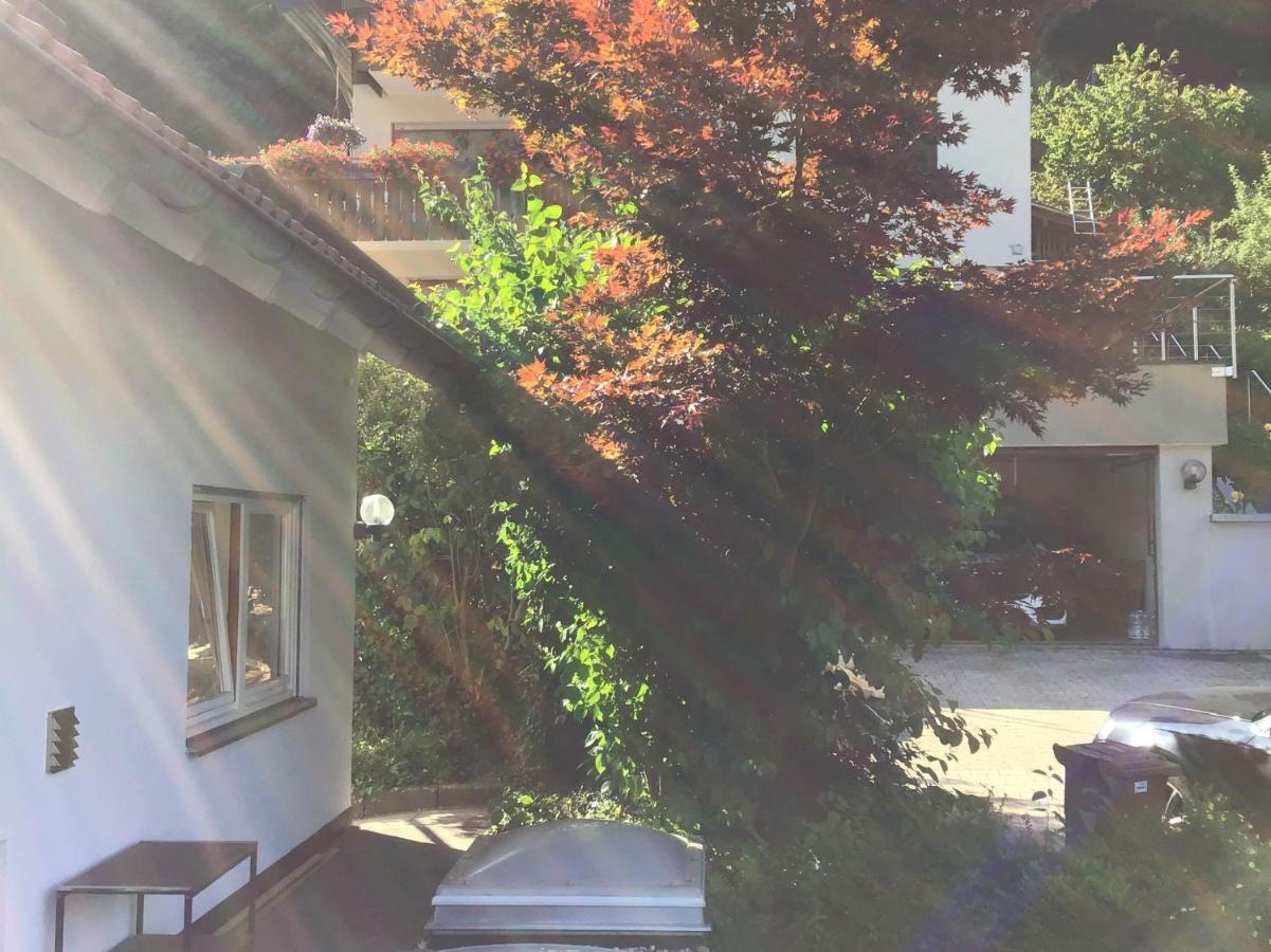 Ferienwohnung Am Eiberg バート・ヴィルトバート エクステリア 写真